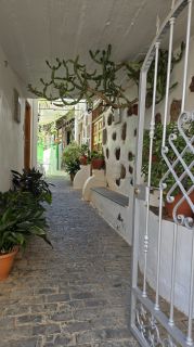2025-01-GC-Santa_Lucia-062.jpg